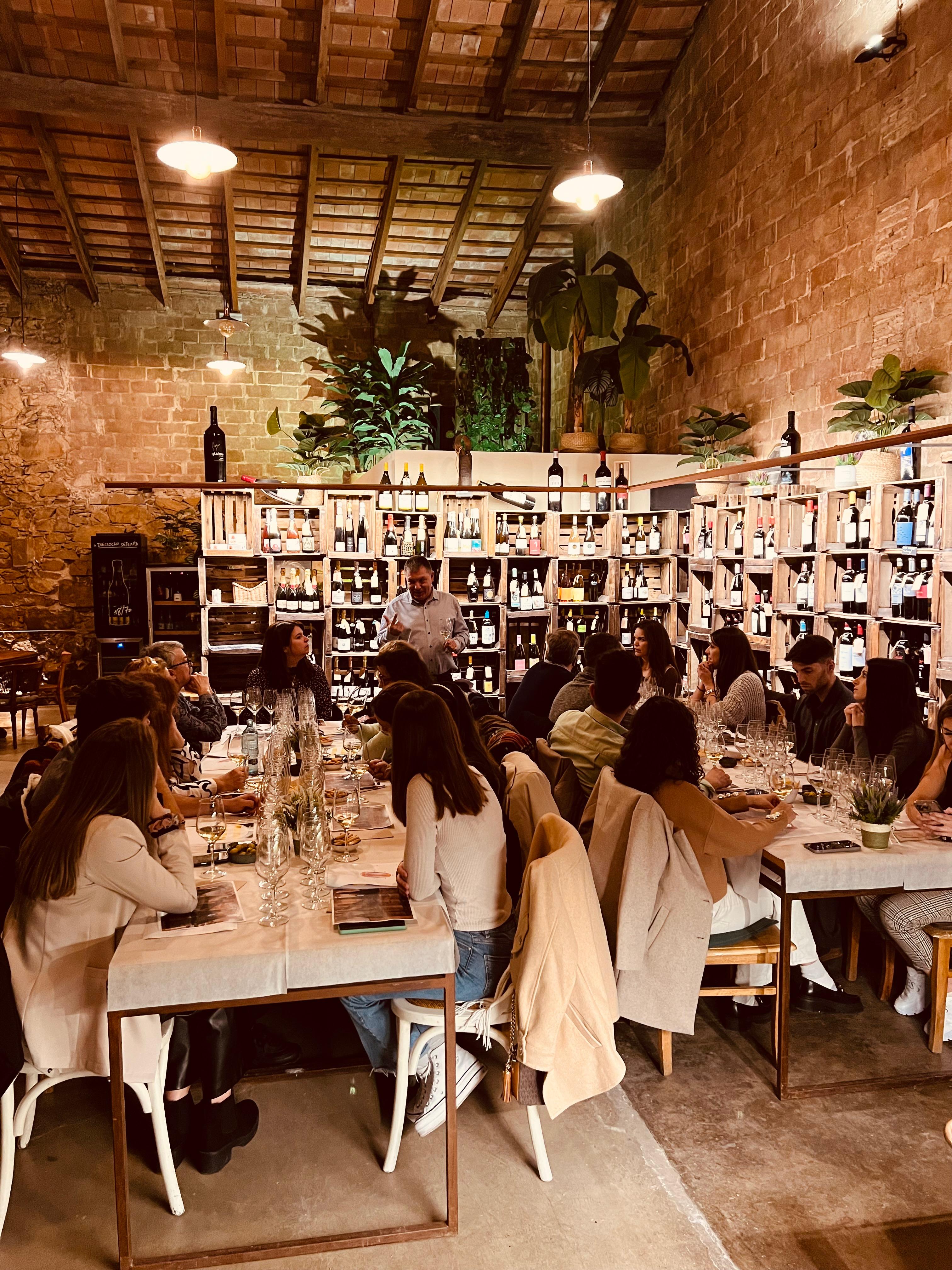 Tast de vins al celler