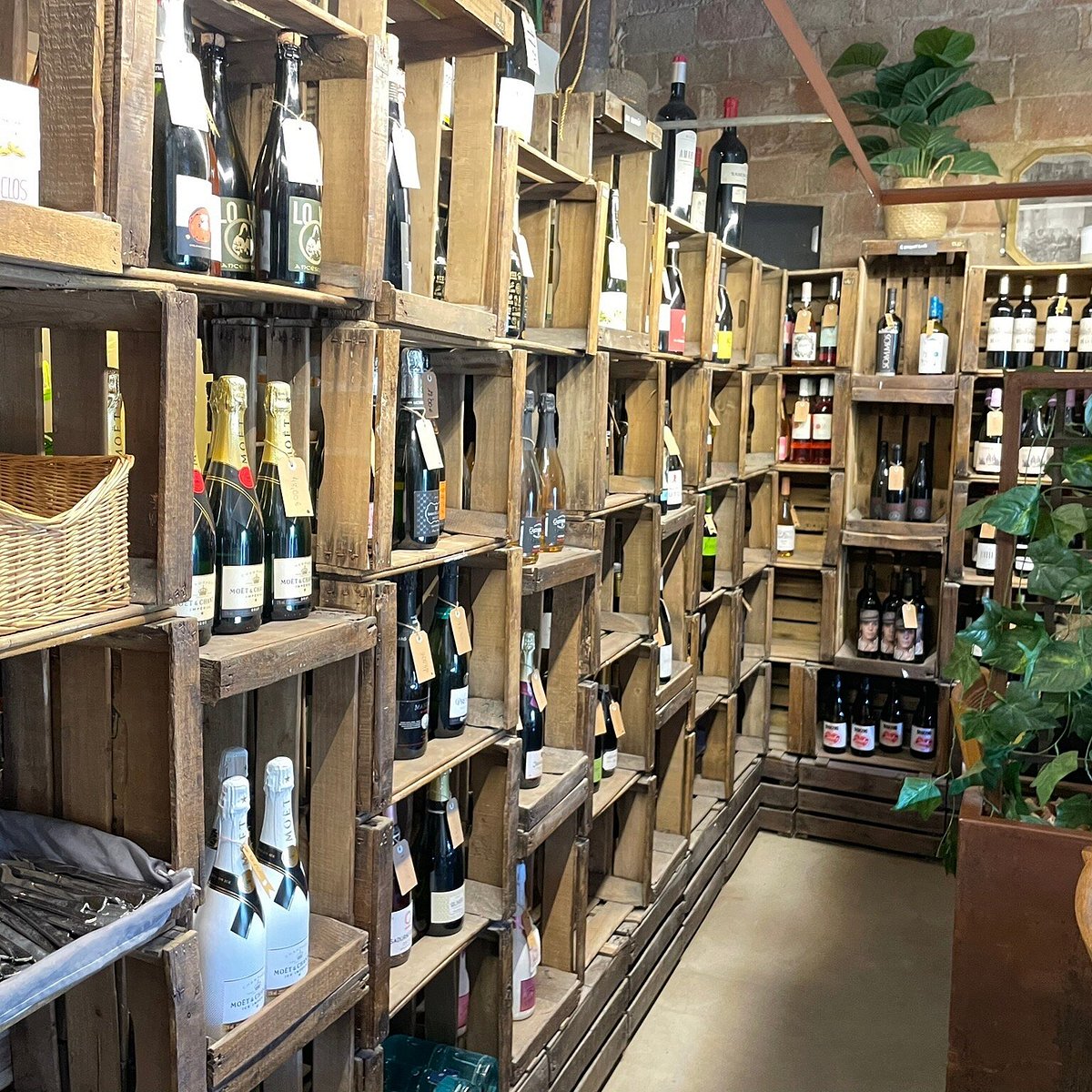 El celler amb caves i escumosos